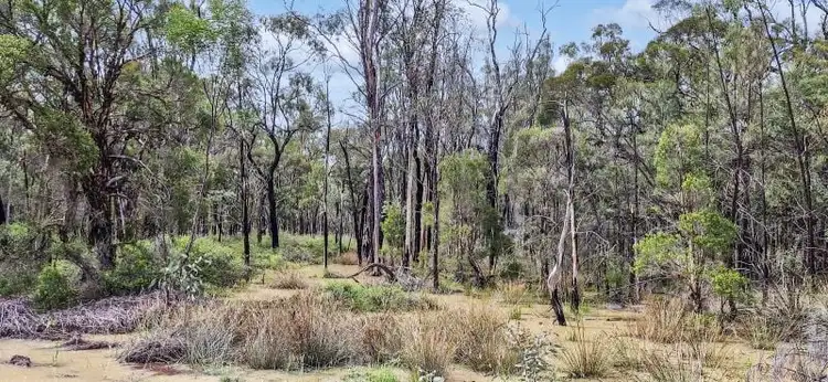 Seventh view of Homely rural property listing, Lot 35 Cnr Millmerran Woods Drive and Belar Court, Millmerran Woods QLD 4357