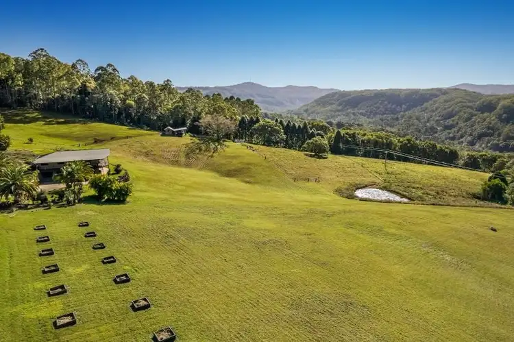 Fourth view of Homely rural property listing, 74 Rose Road, Tuntable Creek NSW 2480