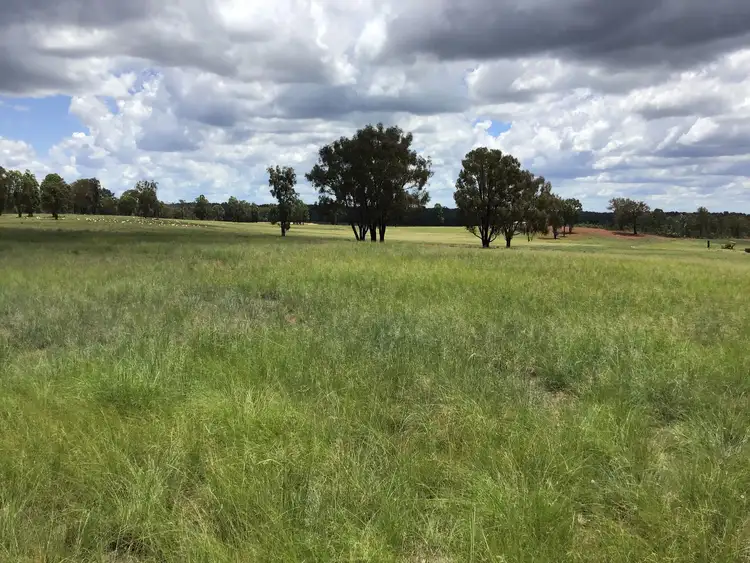 Sixth view of Homely rural property listing, 3389 Bundarra Road, Inverell NSW 2360