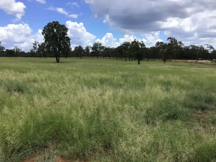 Seventh view of Homely rural property listing, 3389 Bundarra Road, Inverell NSW 2360