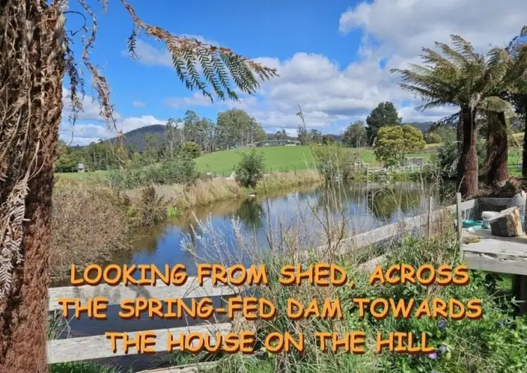 Fifth view of Homely rural property listing, 47 Haas Road, Legerwood TAS 7263