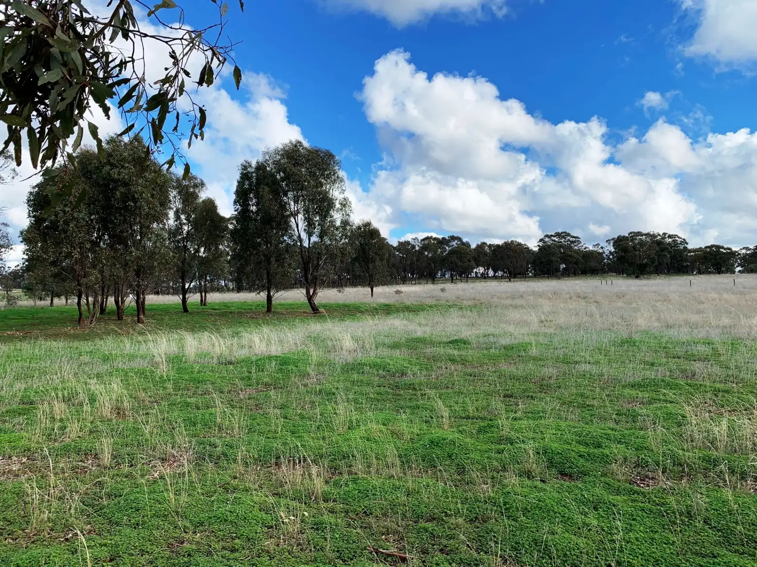 Main view of Homely land listing, Address available on request