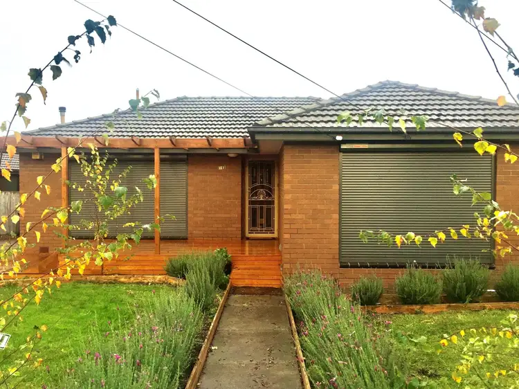 Main view of Homely house listing, 146 Anakie Road, Bell Park VIC 3215