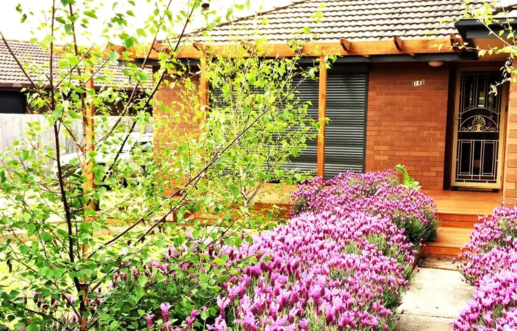 Second view of Homely house listing, 146 Anakie Road, Bell Park VIC 3215
