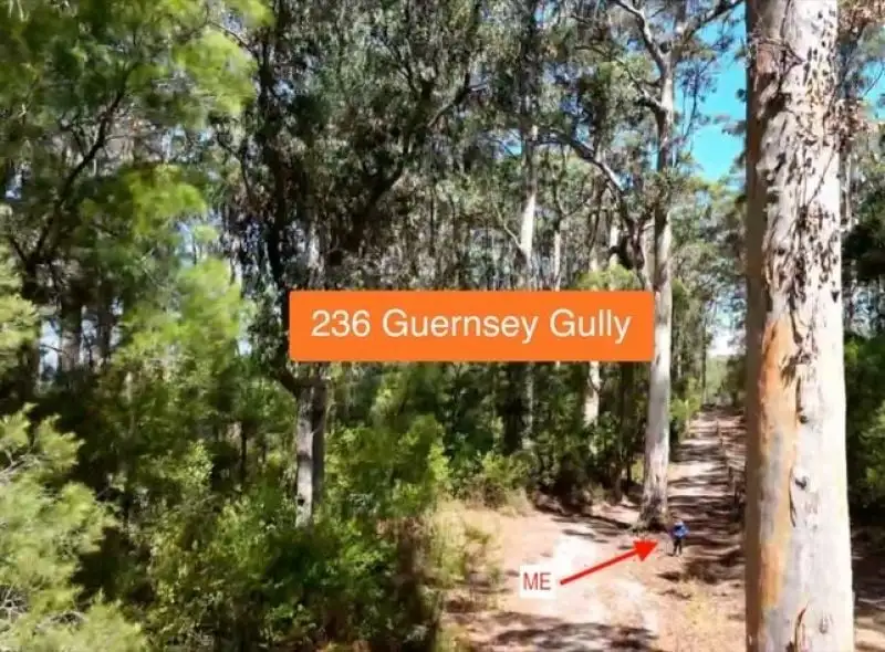 Main view of Homely rural property listing, 236 Guernsey Gully, Northcliffe WA 6262