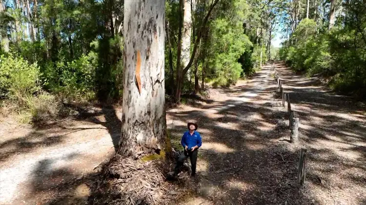 Sixth view of Homely rural property listing, 236 Guernsey Gully, Northcliffe WA 6262