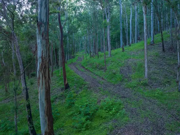 Third view of Homely land listing, 2298 Nimbin Road, Nimbin NSW 2480