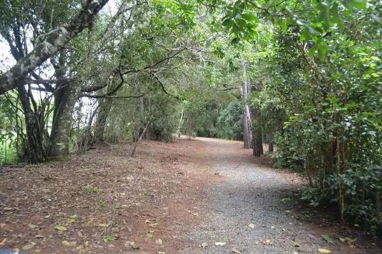 Fifth view of Homely rural property listing, 570 Beatrice Way, Millaa Millaa QLD 4886