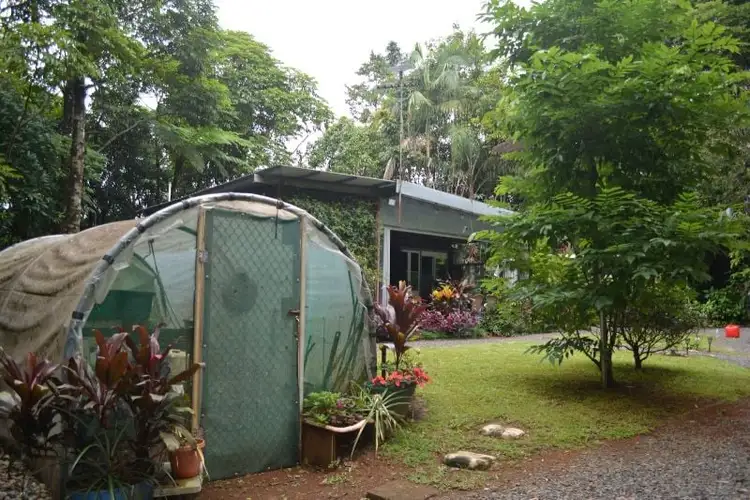 Sixth view of Homely rural property listing, 570 Beatrice Way, Millaa Millaa QLD 4886