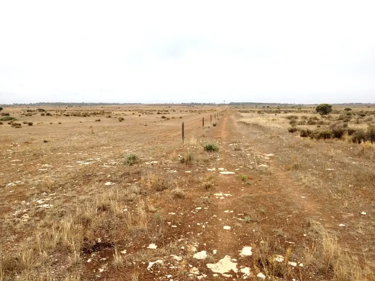 Third view of Homely rural property listing, Lot 70 Eyre Highway, Coorabie SA 5690