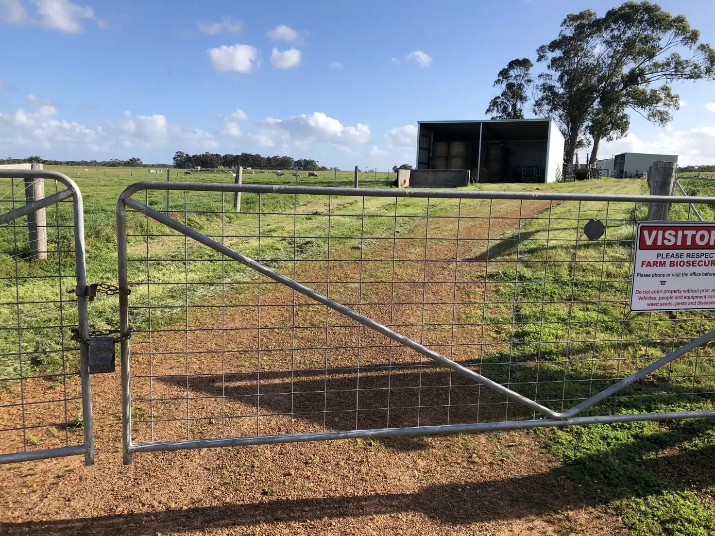 Main view of Homely rural property listing, 735 Richardson Road, Meerup WA 6262