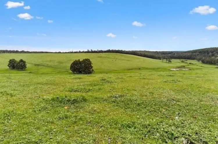 Fifth view of Homely rural property listing, 4175 Graphite Road, Carlotta WA 6275