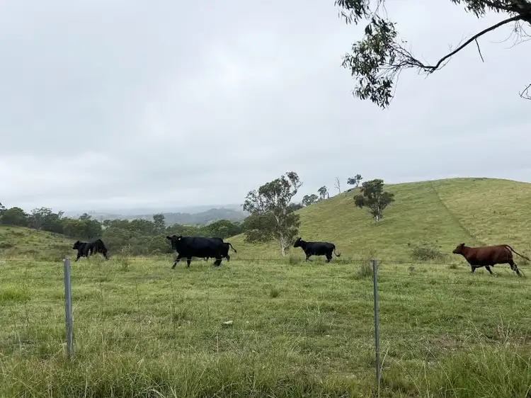 940 Hanworth Road, Bannaby NSW 2580