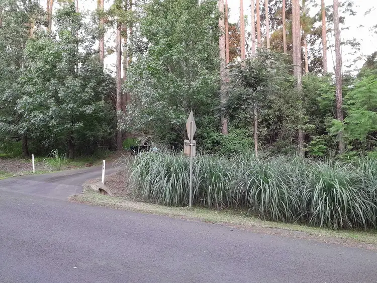 Sixth view of Homely land listing, 110 Gungas Road, Nimbin NSW 2480