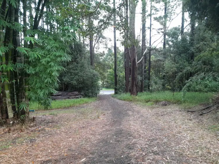 Seventh view of Homely land listing, 110 Gungas Road, Nimbin NSW 2480