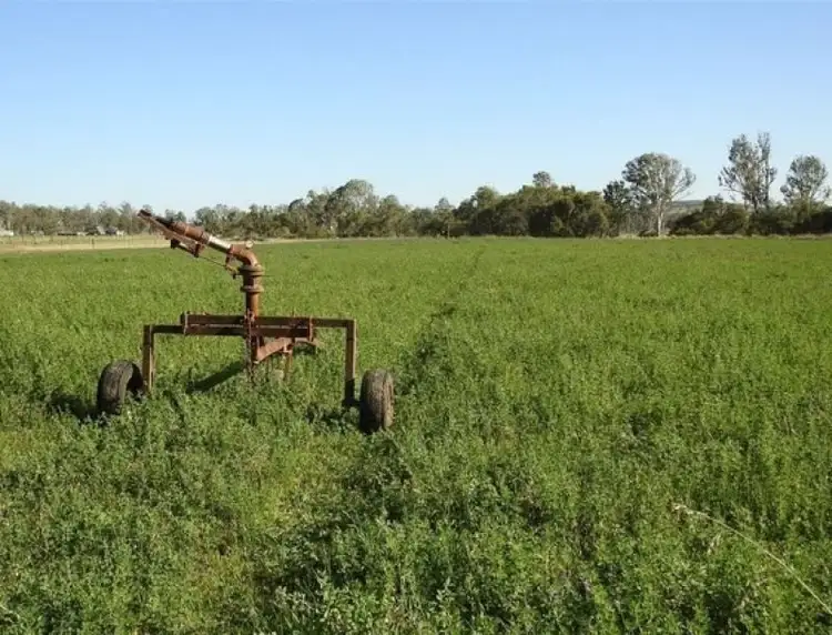 Seventh view of Homely rural property listing, 206 Mondure Crossing Road, Glan Devon QLD 4615