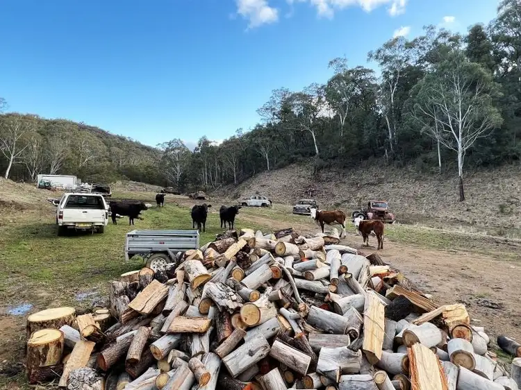 Main view of Homely rural property listing, 657 Newfoundland Road, Bannaby NSW 2580