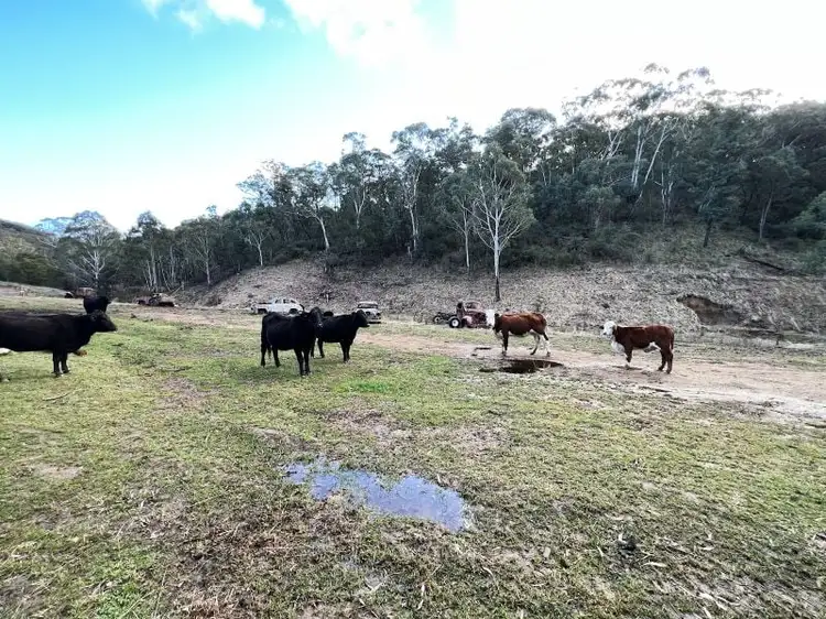 Second view of Homely rural property listing, 657 Newfoundland Road, Bannaby NSW 2580
