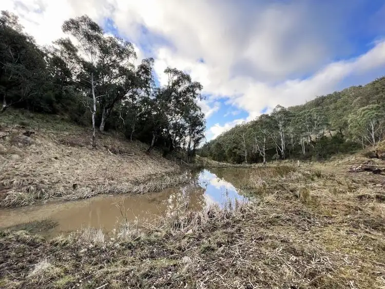 Fourth view of Homely rural property listing, 657 Newfoundland Road, Bannaby NSW 2580