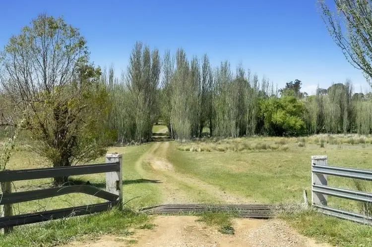 Fourth view of Homely rural property listing, 1911 Rugby Road, Bevendale NSW 2581