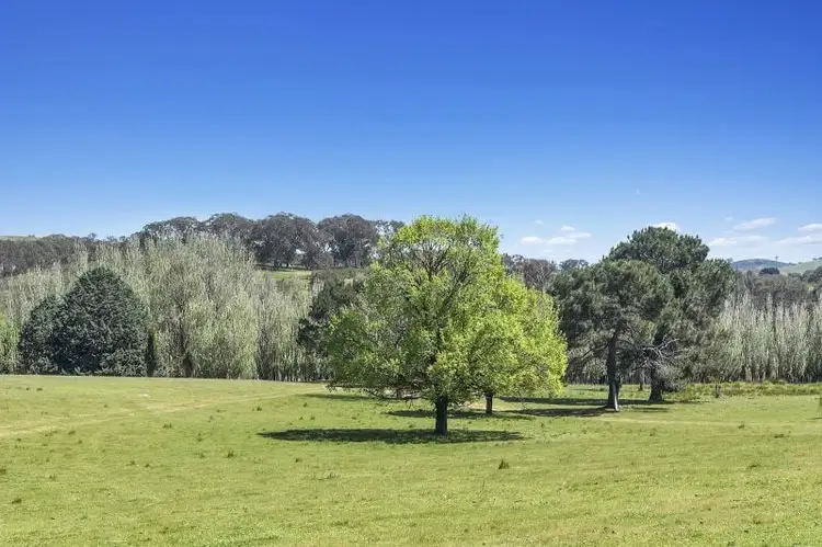 Sixth view of Homely rural property listing, 1911 Rugby Road, Bevendale NSW 2581