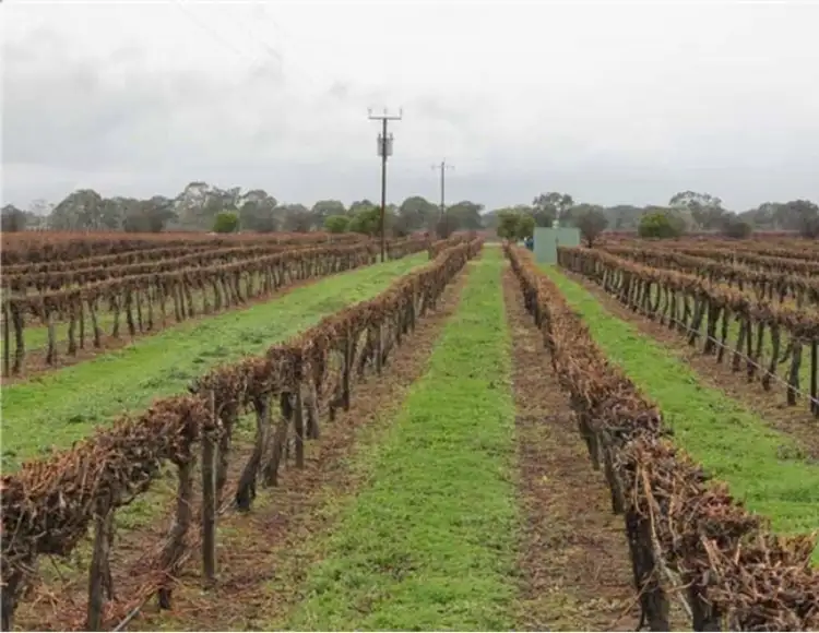 Second view of Homely rural property listing, 2 Claxton Road, Cadell SA 5321