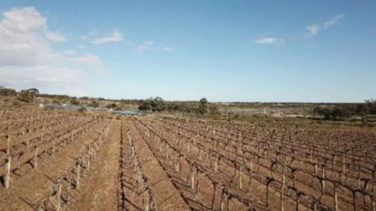 Fourth view of Homely rural property listing, 2 Claxton Road, Cadell SA 5321