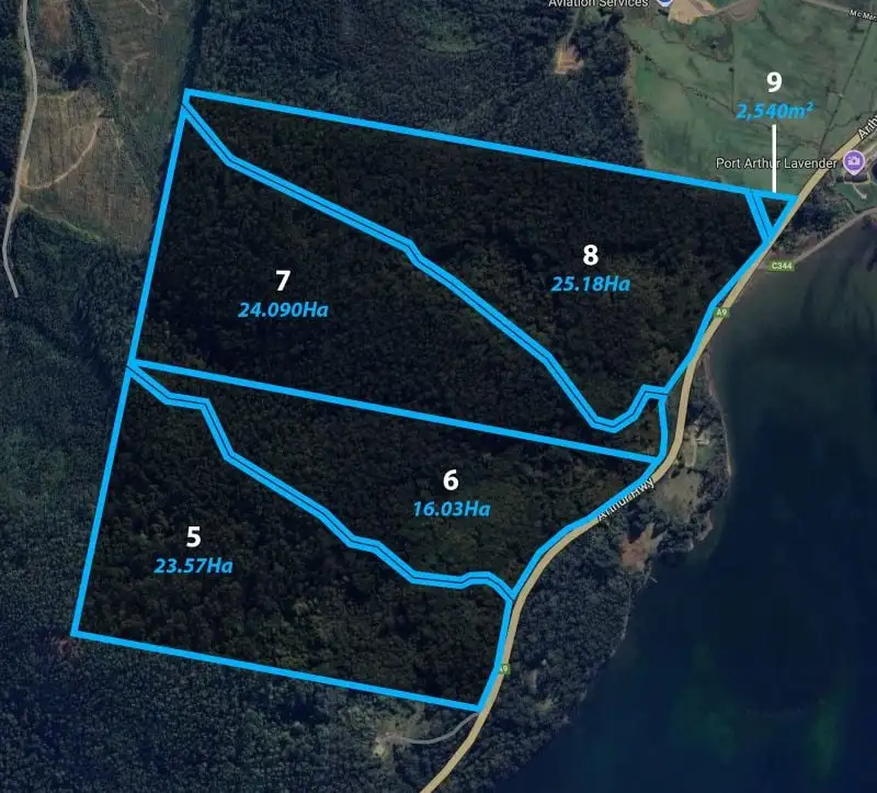 Main view of Homely land listing, 6620 Arthur Highway, Port Arthur TAS 7182