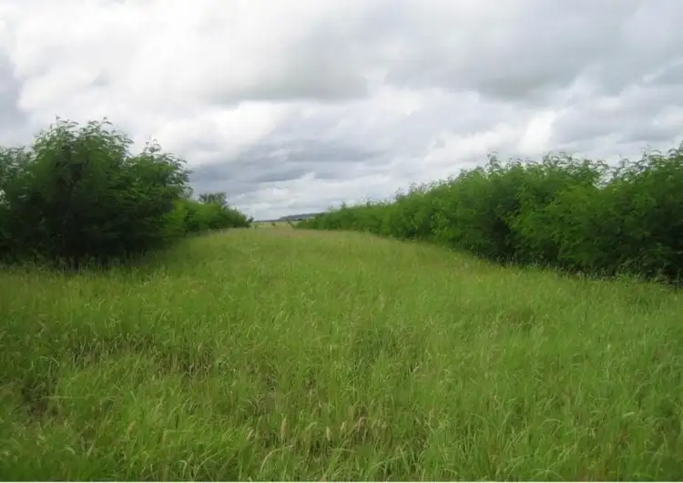 Second view of Homely rural property listing, 416 Duck Creek Road, Roma QLD 4455