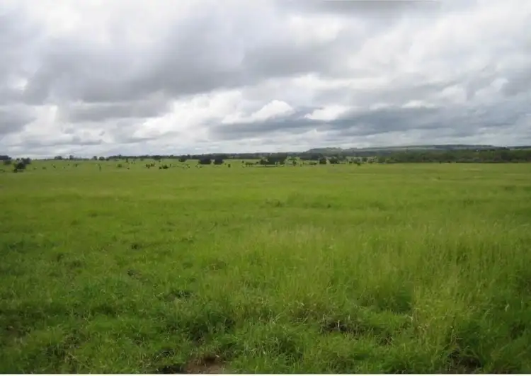 Sixth view of Homely rural property listing, 416 Duck Creek Road, Roma QLD 4455