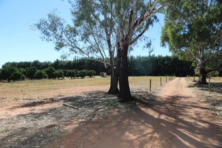 Sixth view of Homely rural property listing, 25 Foster Road, Sunlands SA 5322
