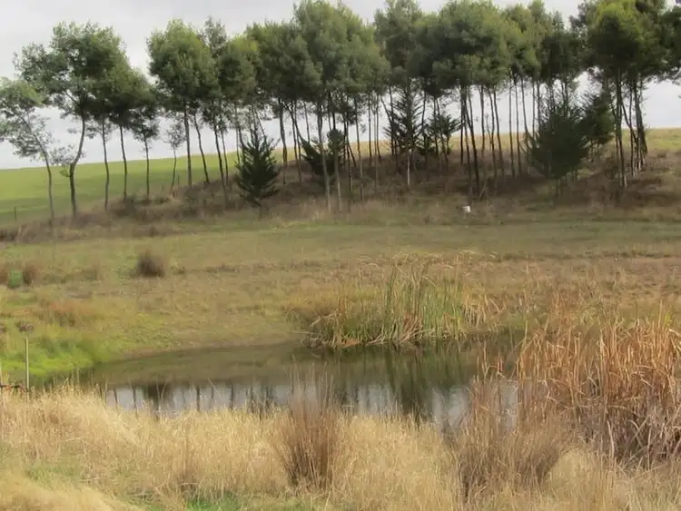 Seventh view of Homely rural property listing, Address available on request