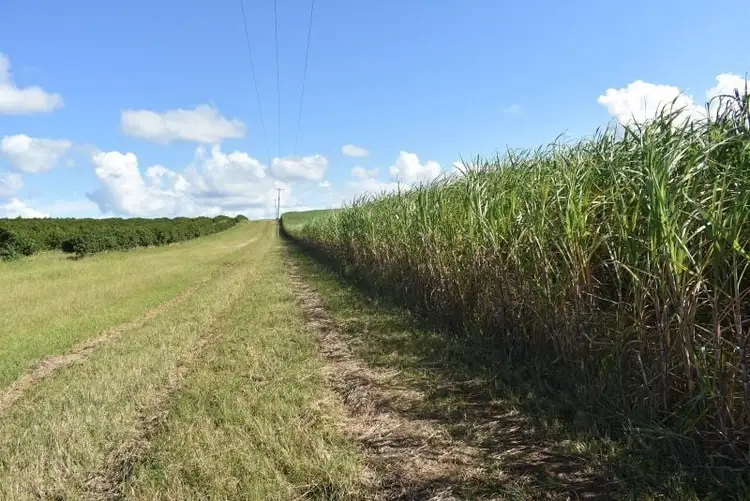 Seventh view of Homely land listing, 128 Smith Road, Magnolia QLD 4650