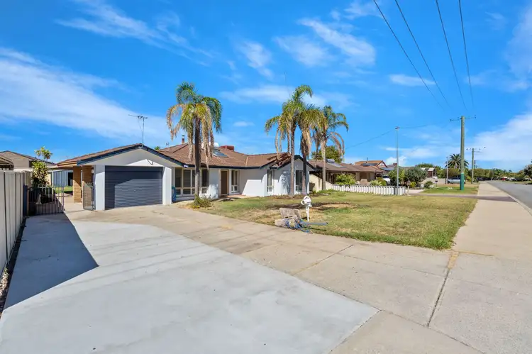 Main view of Homely house listing, 24 Belrose Crescent, Cooloongup WA 6168