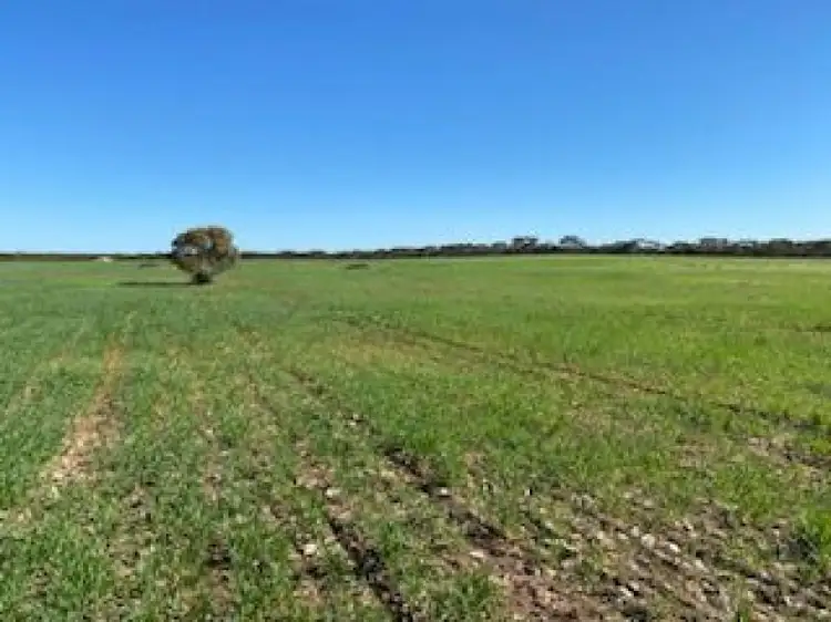 4186 Port Kenny Road, Karcultaby SA 5654