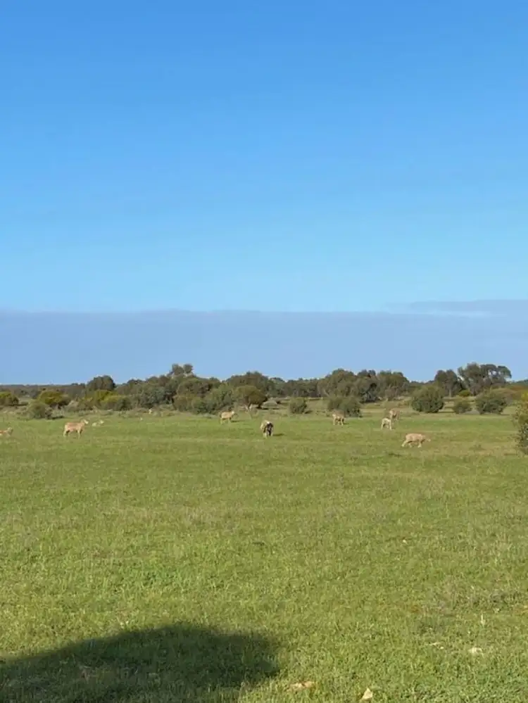 Second view of Homely land listing, 4186 Port Kenny Road, Karcultaby SA 5654