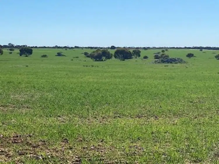 Third view of Homely land listing, 4186 Port Kenny Road, Karcultaby SA 5654