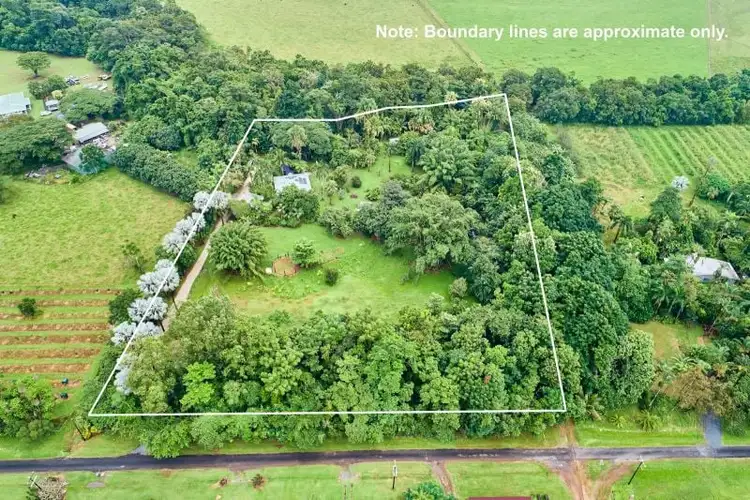 Sixth view of Homely rural property listing, 21 Munro Road, Bellenden Ker QLD 4871