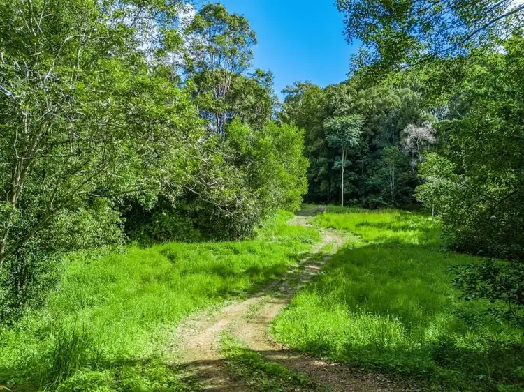 Main view of Homely land listing, 37 Chevell Place, Smiths Creek NSW 2484