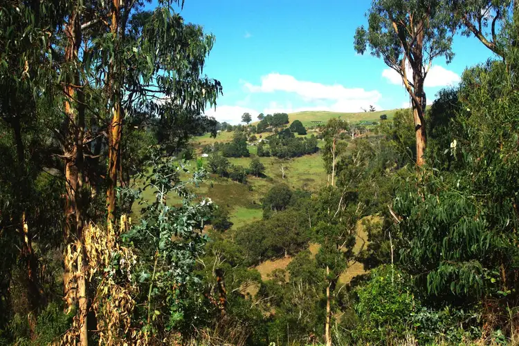 Main view of Homely rural property listing, 960 Jumbuk Road, Yinnar South VIC 3869