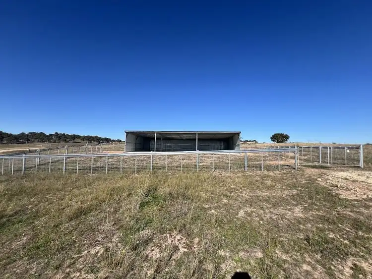 Fifth view of Homely rural property listing, 63/239 Woodhouselee Road, Wayo NSW 2580