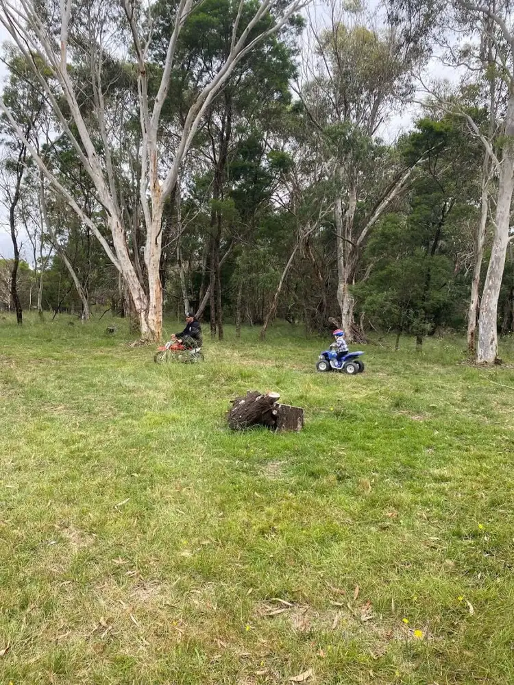 Sixth view of Homely rural property listing, lot 1/12 Ningee Nimbell Creek Road, Tomboye NSW 2622