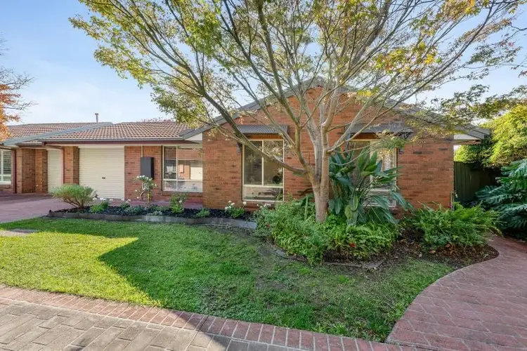 Third view of Homely house listing, 19 Heathcote Drive, Forest Hill VIC 3131