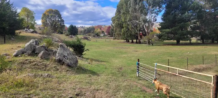 Fifth view of Homely land listing, Lot 2/1302507 Wyndham St, Adelong NSW 2729