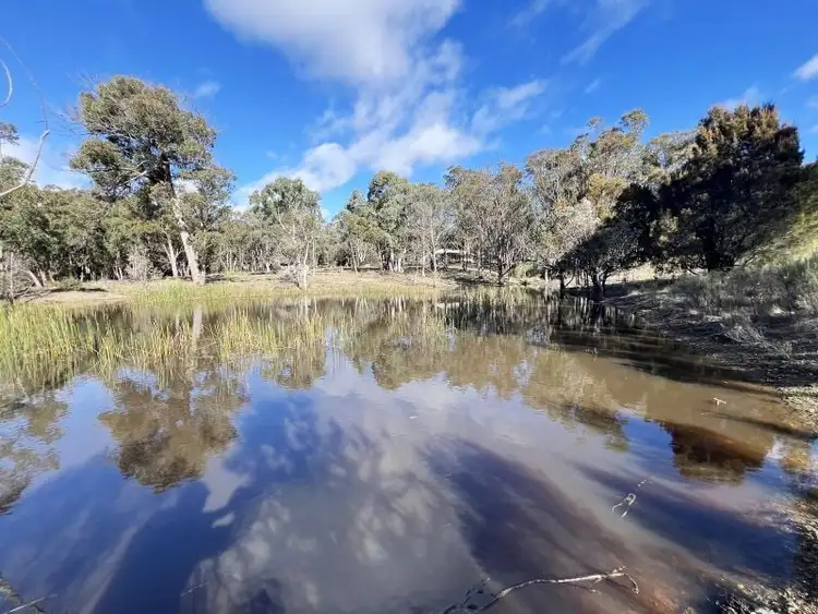 Third view of Homely rural property listing, 564 Willow Glen Road, Lower Boro NSW 2580