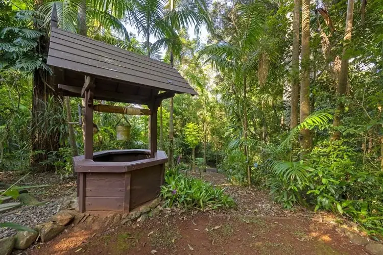 Fifth view of Homely house listing, 104 Kinabalu Drive, Tamborine Mountain QLD 4272