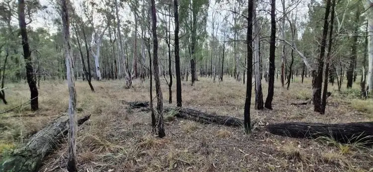 Second view of Homely rural property listing, Lot 57 Gardenia Crescent, Millmerran Downs QLD 4357