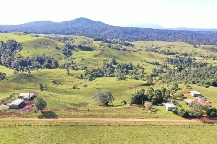 273 Sutties Gap Road, Millaa Millaa QLD 4886