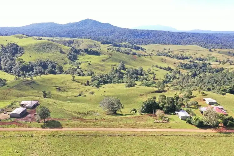 Main view of Homely rural property listing, 273 Sutties Gap Road, Millaa Millaa QLD 4886