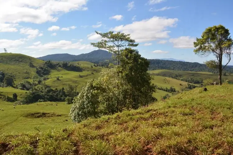 Seventh view of Homely rural property listing, 273 Sutties Gap Road, Millaa Millaa QLD 4886